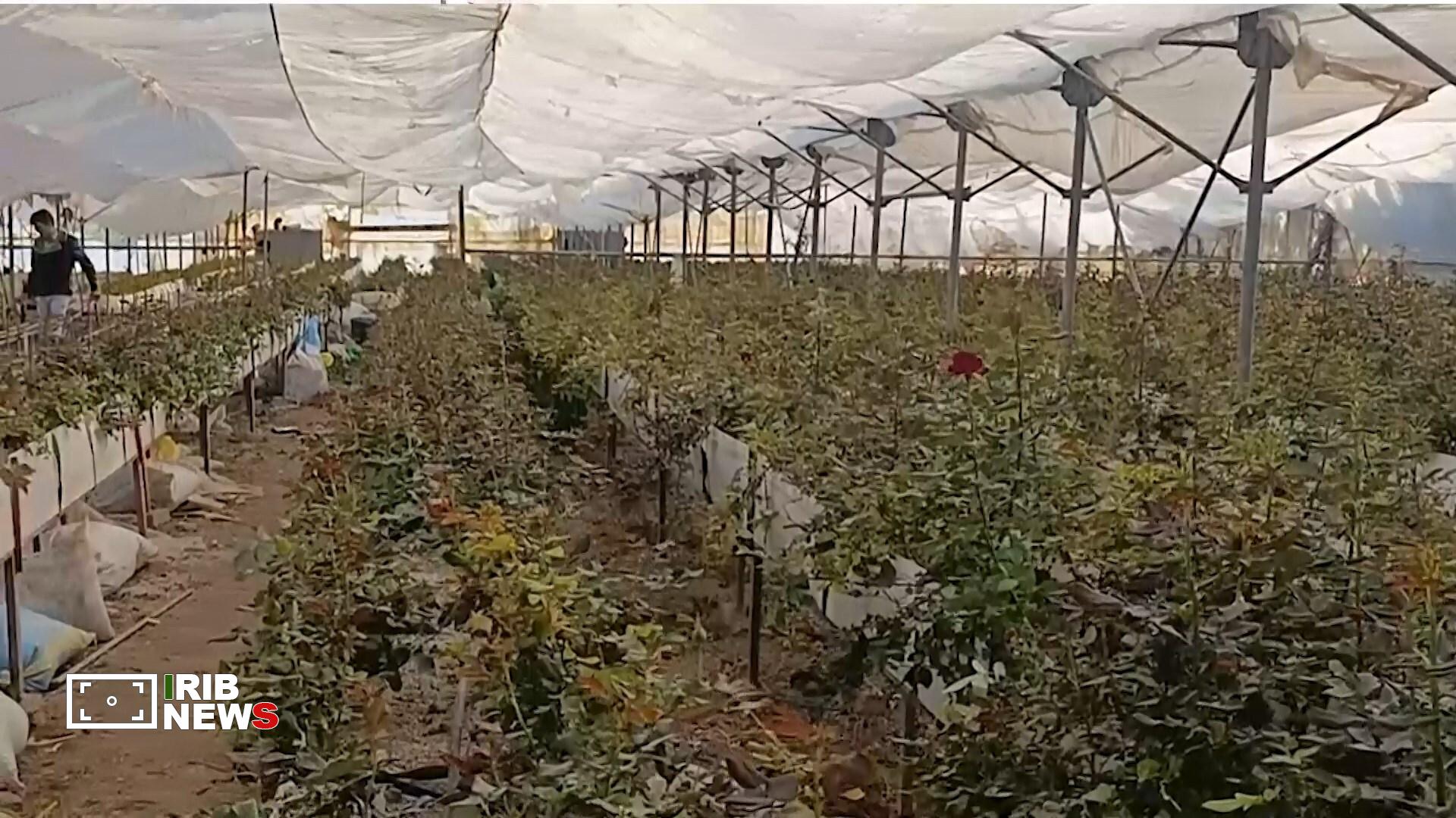 پیام سپاهان