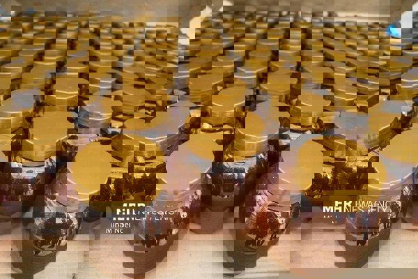 شاهی: مجوز صادرات ۱۴۰ تن عسل از خوانسار صادر شد