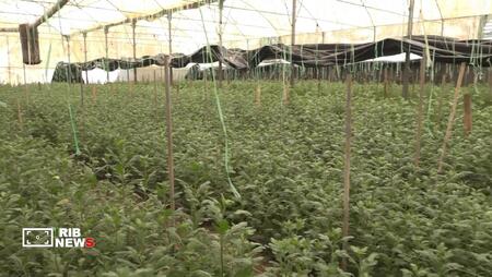 پیام سپاهان