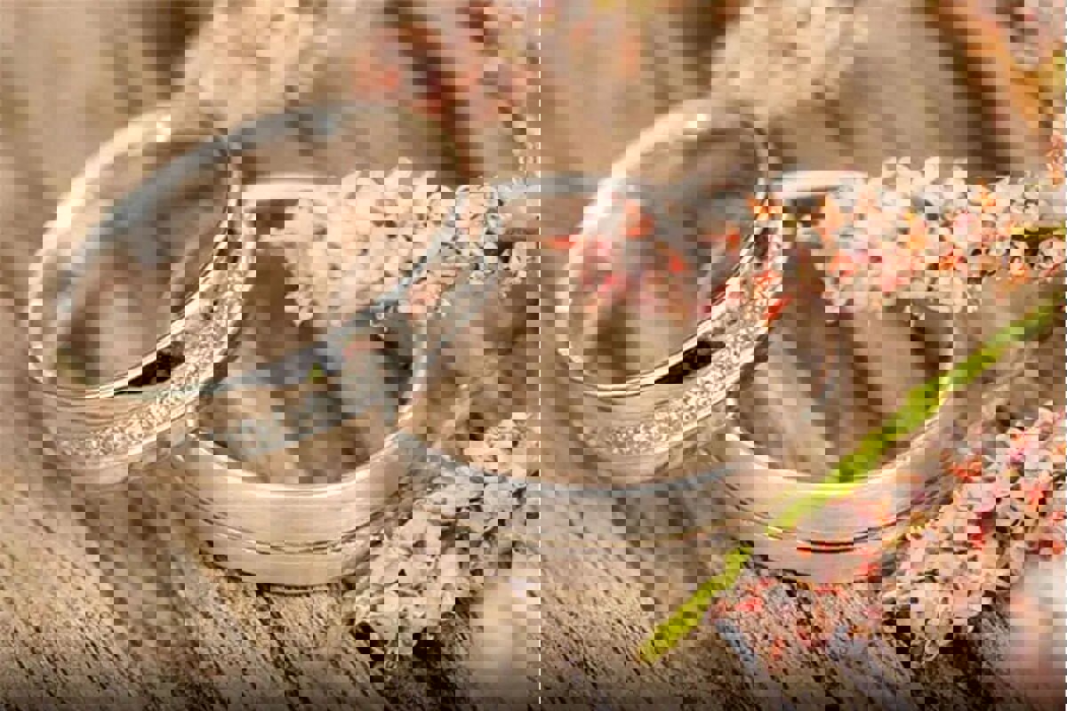 جشن ازدواج جمعی ۵۷ زوج ارتشی در اصفهان  برگزار شد