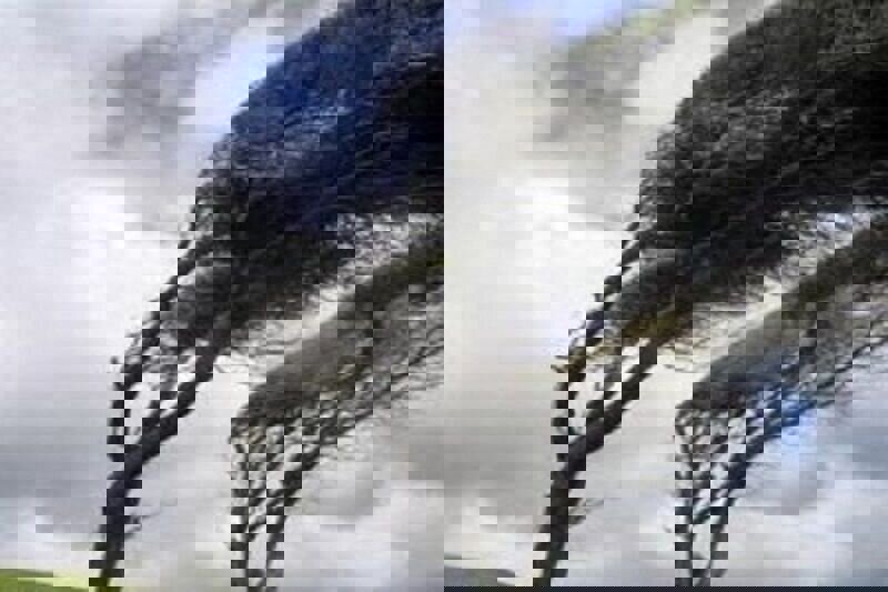 تندباد اصفهان را فرا می‌گیرد