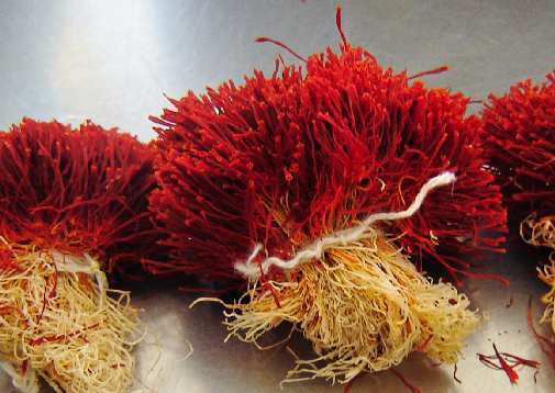 فروش کاکل ذرت به جای زعفران