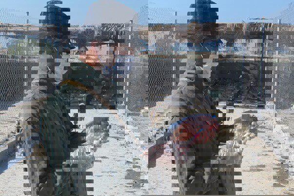 ۲۹ هزار قلاده سگ در اصفهان علیه بیماری هاری واکسینه شد