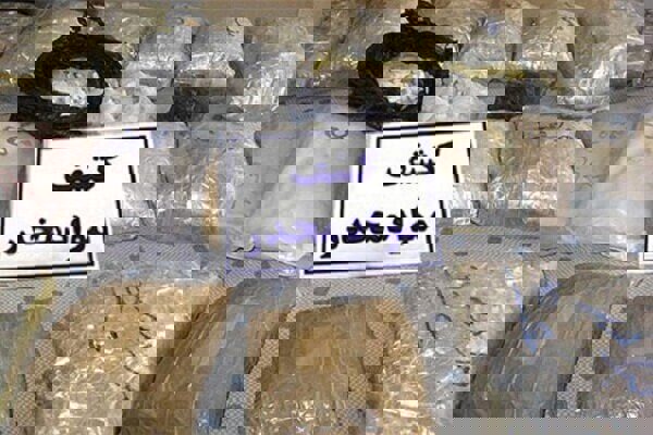 ۱۱ کیلو موادمخدر از خرده فروشان اصفهان کشف شد
