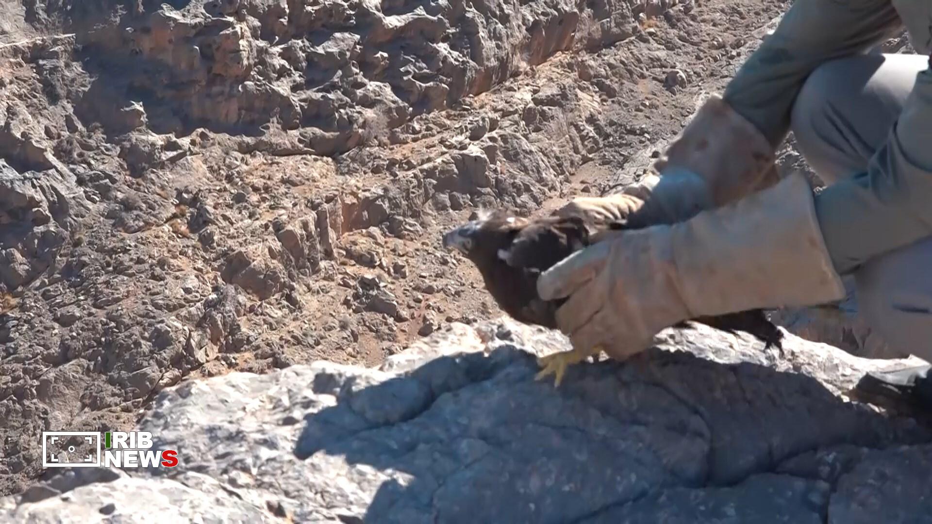 پیام سپاهان