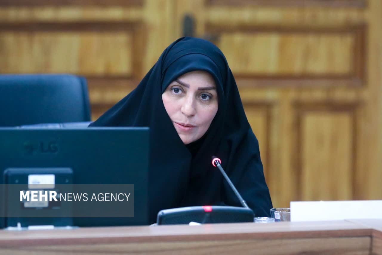 ابطحی: حل مسائل اجتماعی با نسخه‌های فنی به بن‌بست می‌رسد