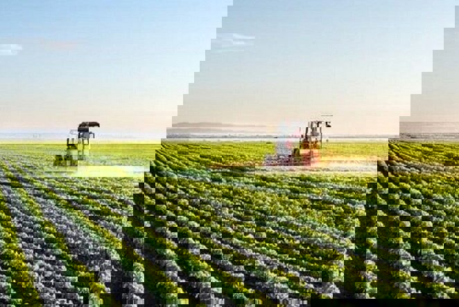 تعهدات ارزی و قوانین موجودتولید و صادرات کشاورزی را از رمق انداخته است