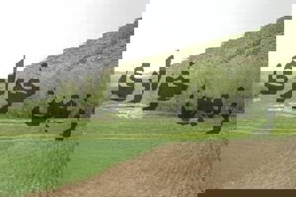 ۳ هکتار زمین خواری در فریدن کشف شد