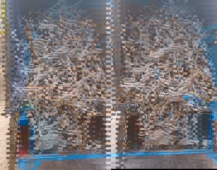 یک تُن چوب قاچاق در فلاورجان توقیف شد