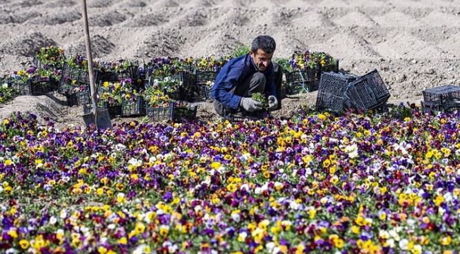 پیام سپاهان