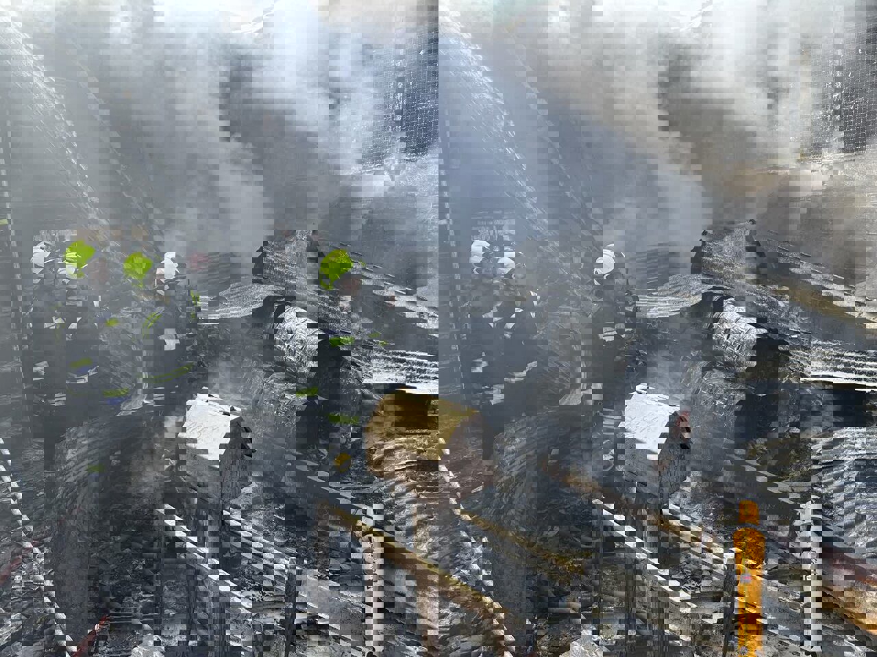 هویت یکی ازجانباختگان غرفه‌دار حادثه سقوط بالگرد ارتش در درچه اعلام شد