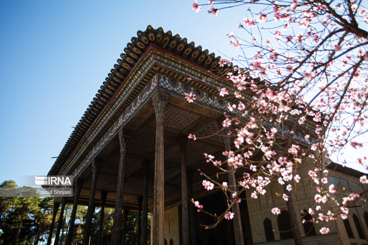 آفت‌زدایی و درمان درختان چهل‌ستون اصفهان در دستورکار قرار گرفت