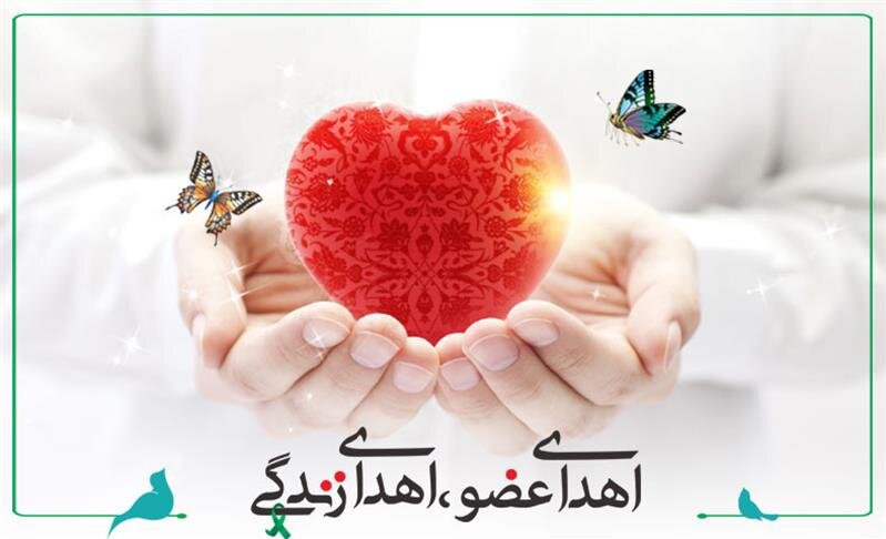 اهدای عضو در منطقه کاشان و آران و بیدگل ۲ برابر شده است