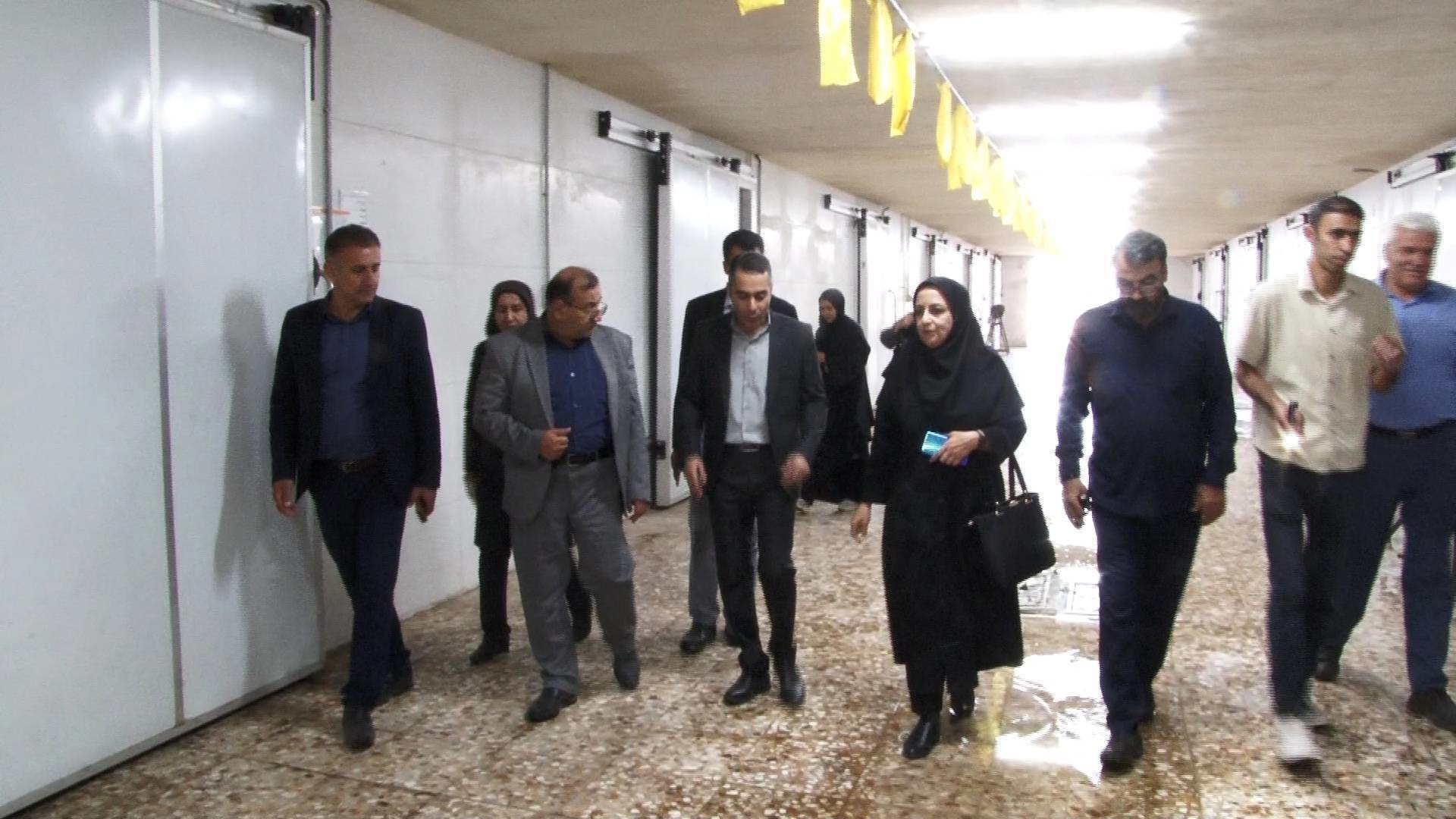 هدف گذاری تولید ۱۰ میلیون تن محصول گلخانه‌ای در برنامه هفتم توسعه