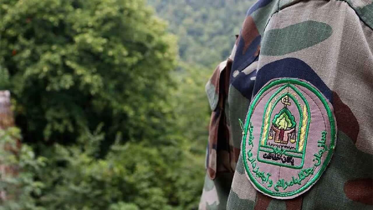 «هر دهیاری یک جنگلبان» در اصفهان اجرا می‌شود
