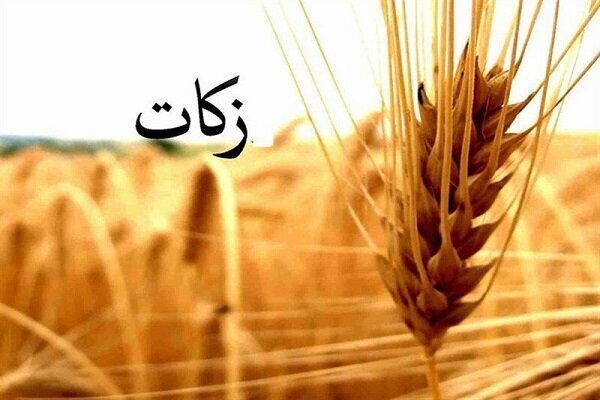 طرح «شجره طیبه» در خوانسار گامی برای حمایت از نیازمندان است