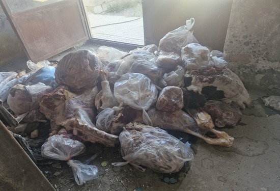 توقیف محموله گوشت غیر بهداشتی در سمیرم