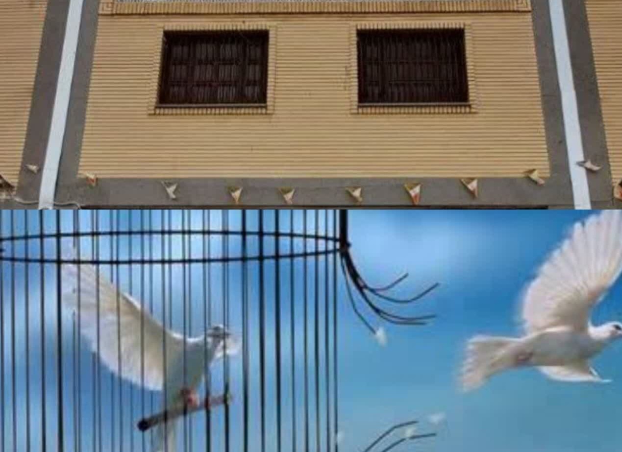 پیام سپاهان