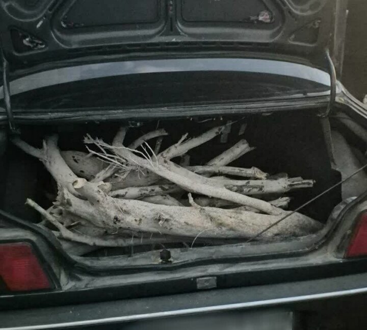 پیام سپاهان