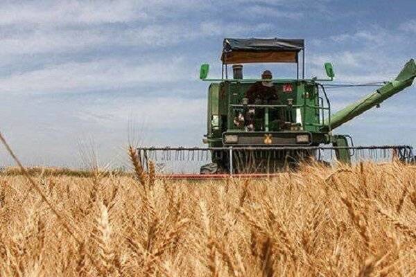 برداشت ۱۹ هزار تن گندم از مزارع فریدونشهر