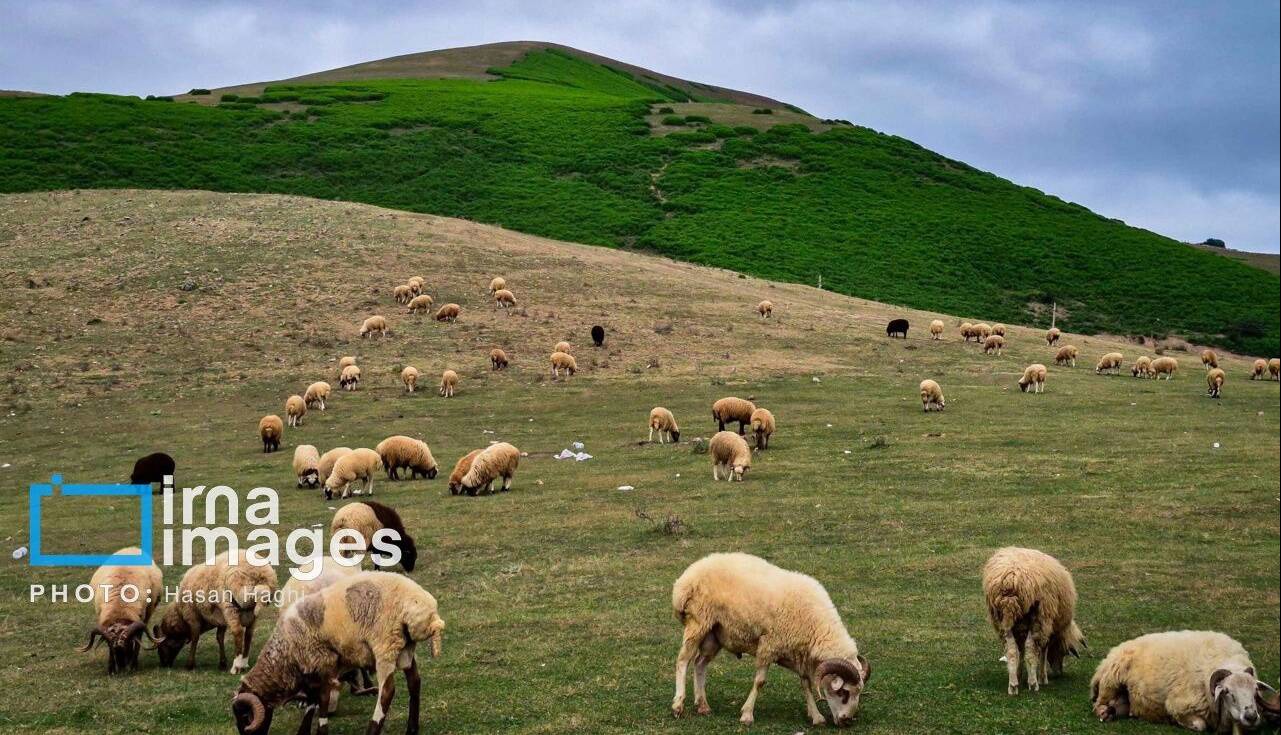 سامانه بارشی جدید از بعدازظهر شنبه وارد مازندران می‌شود