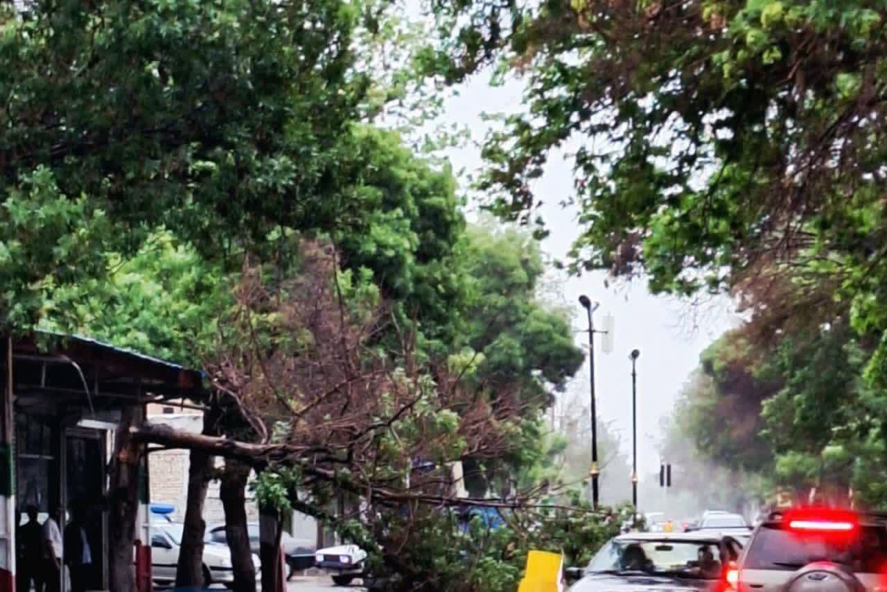 هواشناسی: وزش باد در اصفهان افزایش می‌یابد