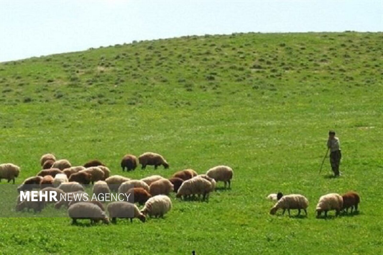 مدیریت کوچ عشایر در اصفهان؛ مراتع ییلاق تا ۱۵ مهر باید تخلیه شود