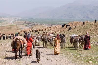 زمان بندی کوچ عشایر در دستور کار قرار گیرد