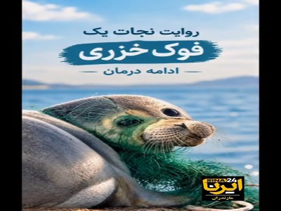 نجات فوک خزری از تورهای صیادی غیرمجاز