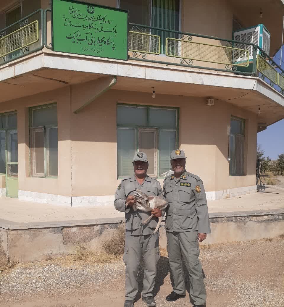 پیام سپاهان