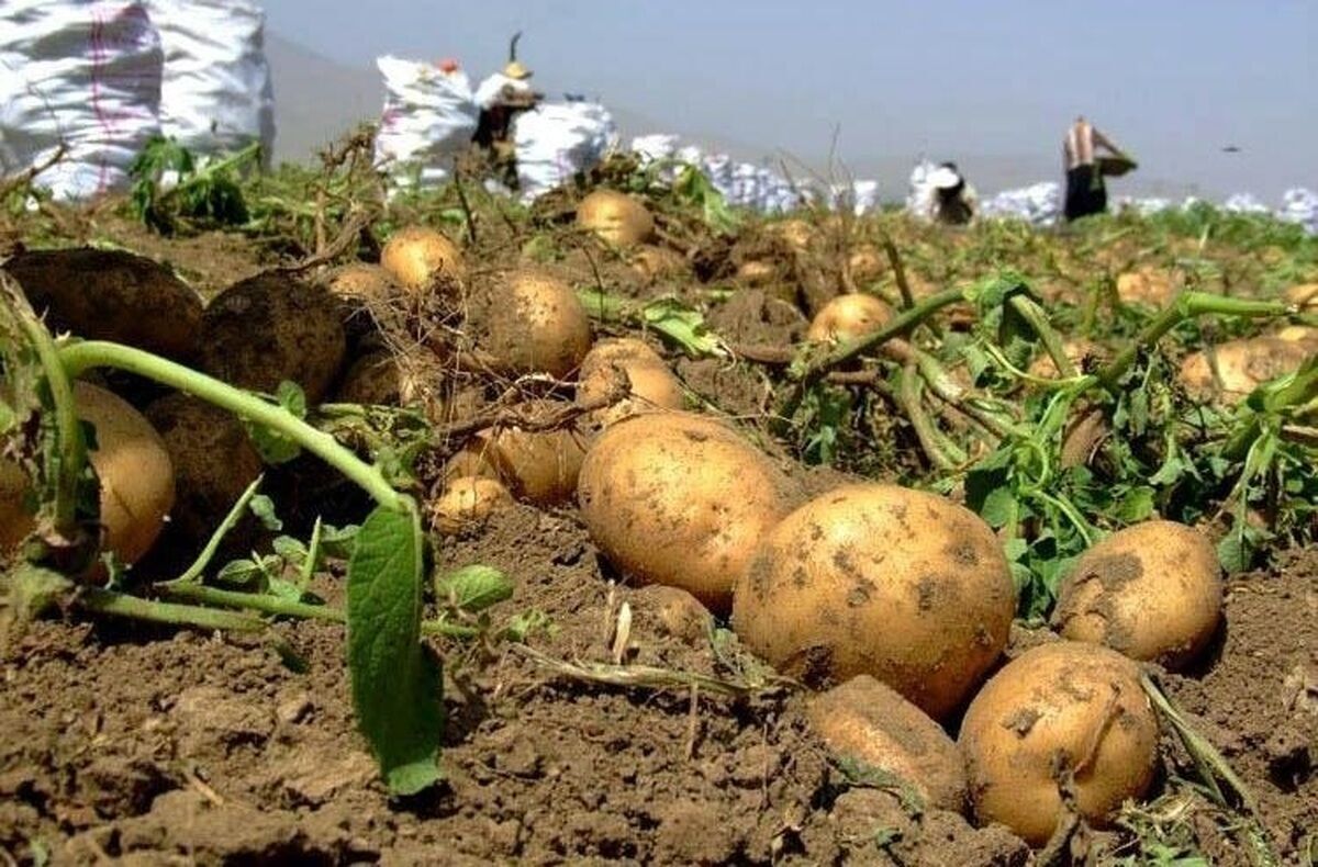 پیام سپاهان