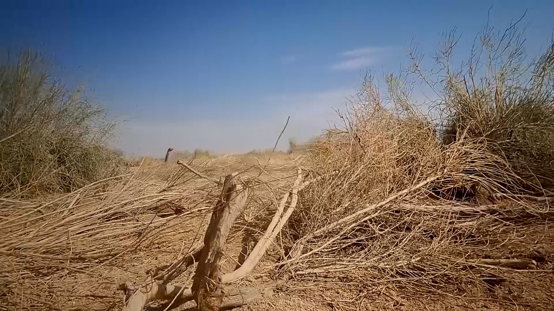 پیام سپاهان