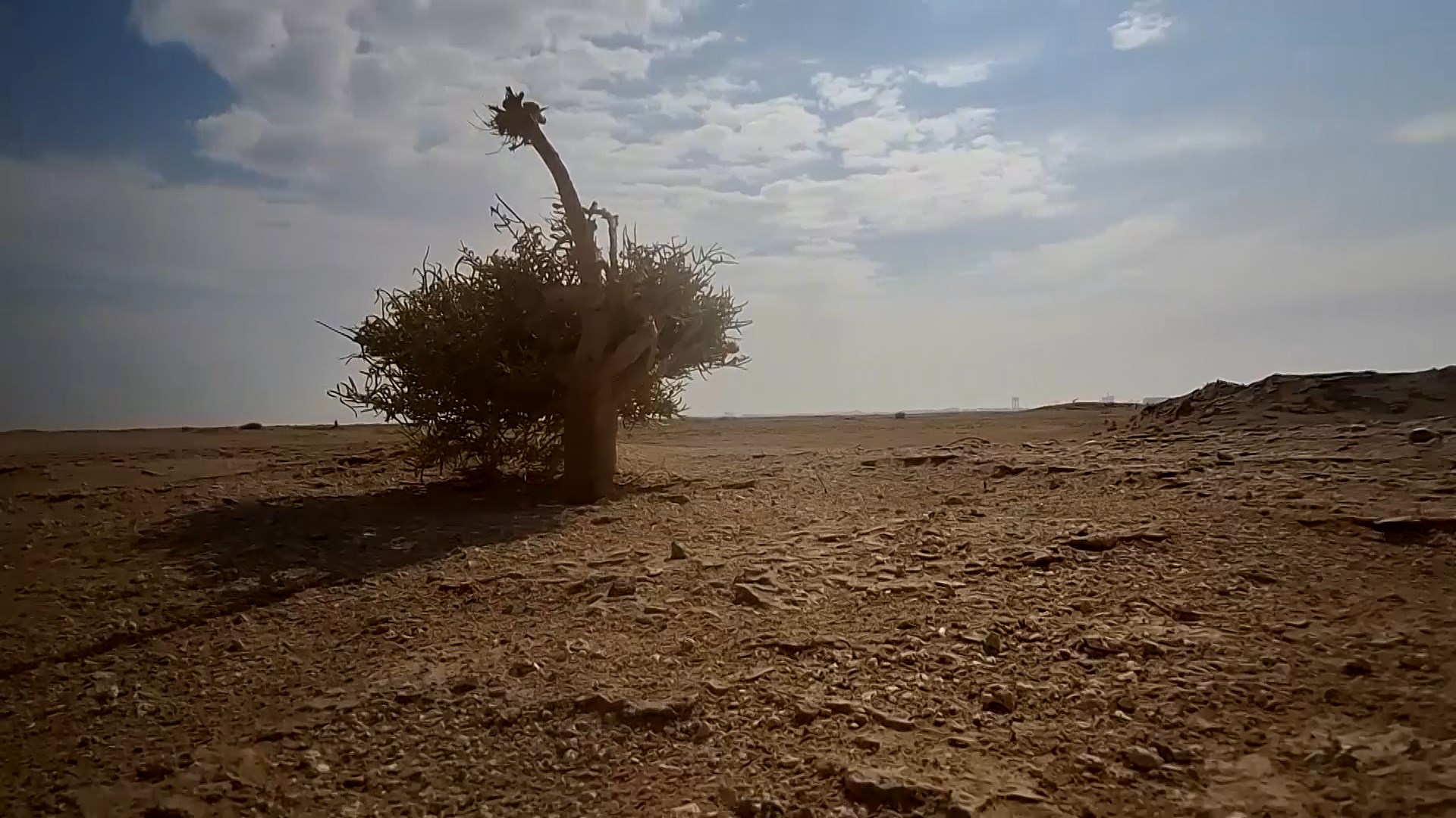 پیام سپاهان