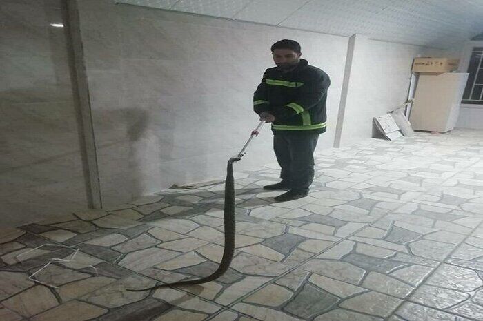 پیام سپاهان