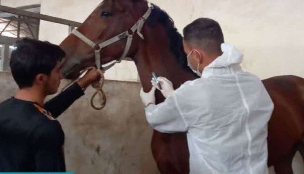 پیام سپاهان