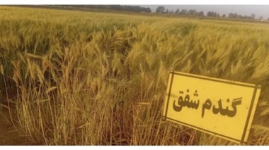 پیام سپاهان
